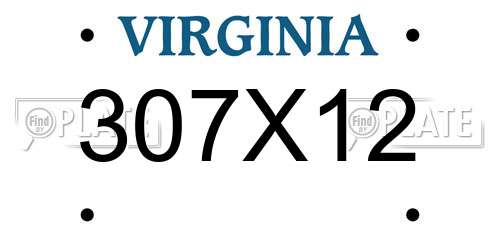 307X12 Virginia License Plate