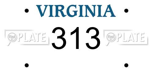 313 Virginia License Plate