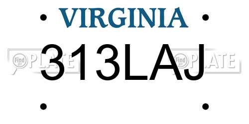 313LAJ Virginia License Plate