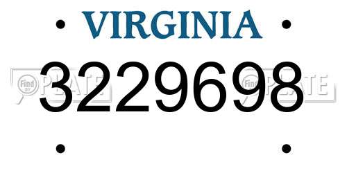 3229698 Virginia License Plate