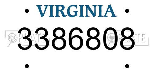 3386808 Virginia License Plate