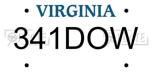 341DOW Virginia License Plate