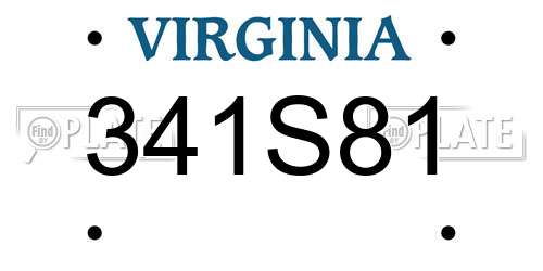 341S81 Virginia License Plate