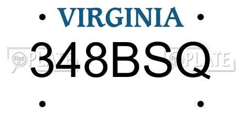 348BSQ Virginia License Plate