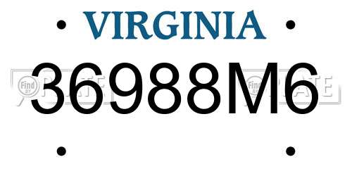 36988M6 Virginia License Plate