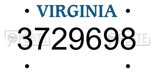 3729698 Virginia License Plate
