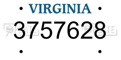 3757628 Virginia License Plate