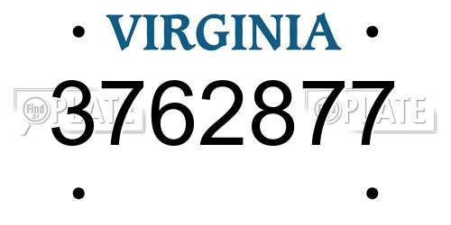 3762877 Virginia License Plate