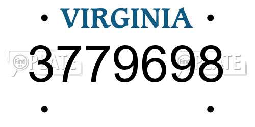 3779698 Virginia License Plate