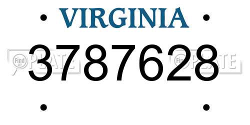 3787628 Virginia License Plate