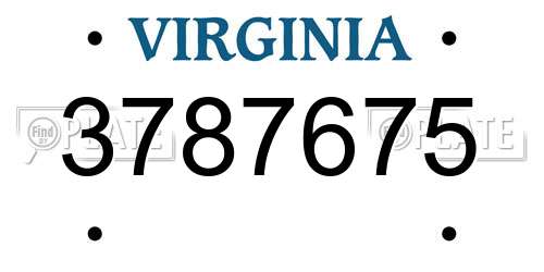 3787675 Virginia License Plate
