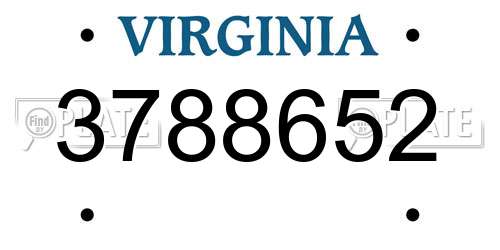 3788652 Virginia License Plate