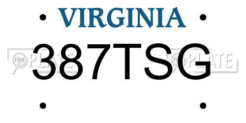 387TSG Virginia License Plate