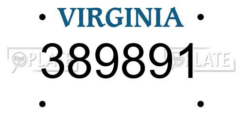 389891 Virginia License Plate