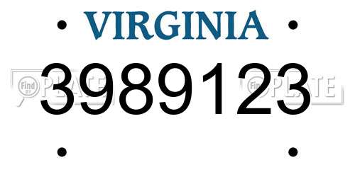 3989123 Virginia License Plate