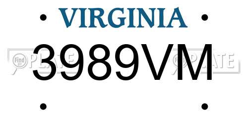 3989VM Virginia License Plate