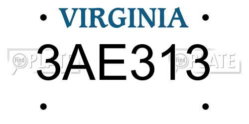 3AE313 Virginia License Plate