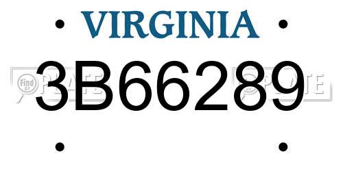 3B66289 Virginia License Plate