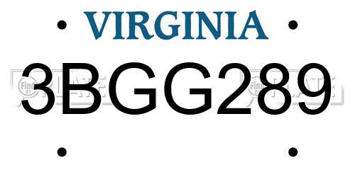 3BGG289 Virginia License Plate