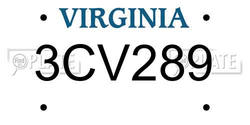 3CV289 Virginia License Plate