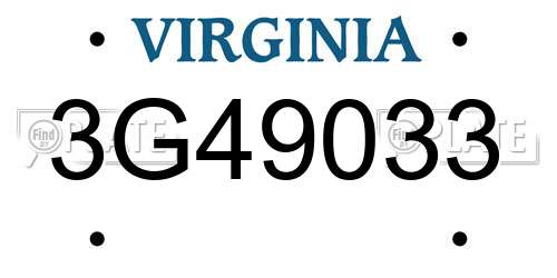 3G49033 Virginia License Plate