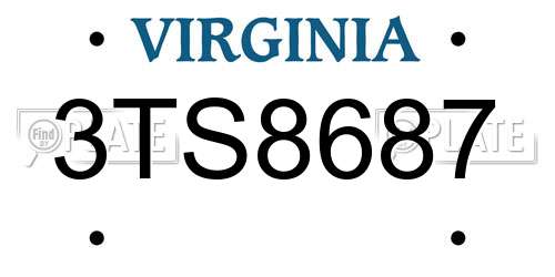 3TS8687 Virginia License Plate