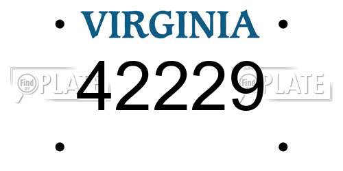 42229 Virginia License Plate