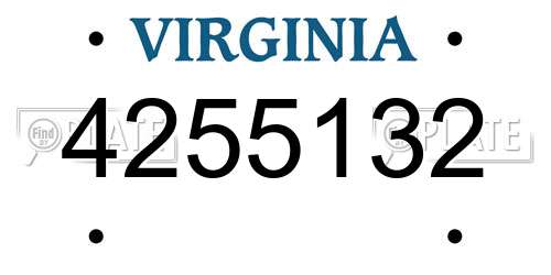 4255132 Virginia License Plate