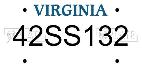 42SS132 Virginia License Plate