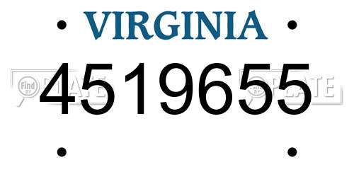 4519655 Virginia License Plate