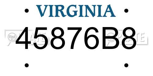45876B8 Virginia License Plate