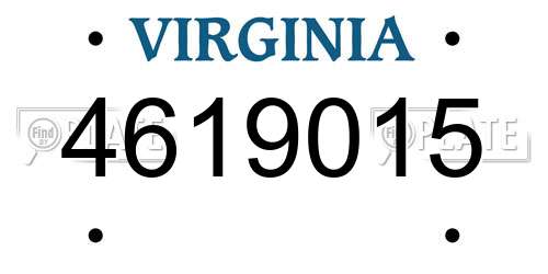 4619015 Virginia License Plate