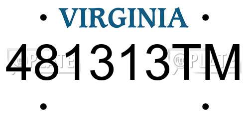 481313TM Virginia License Plate