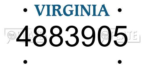 4883905 Virginia License Plate