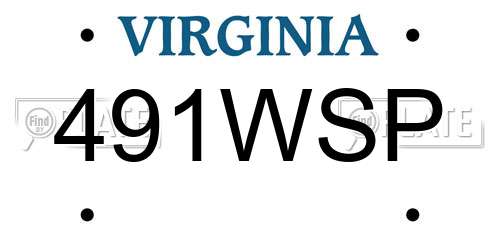 491WSP Virginia License Plate
