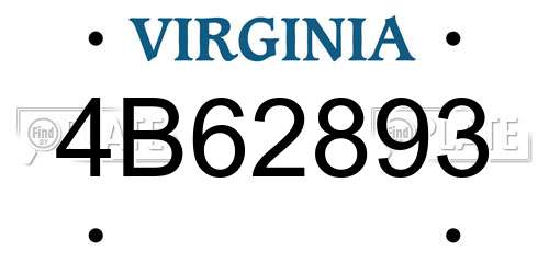 4B62893 Virginia License Plate