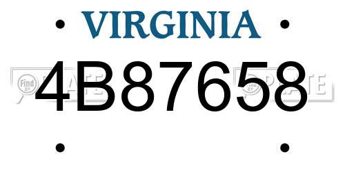 4B87658 Virginia License Plate