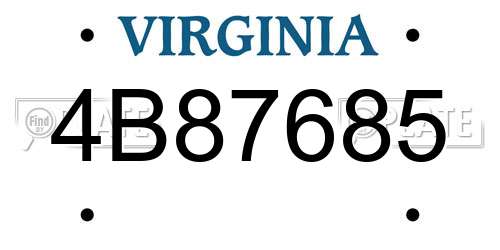 4B87685 Virginia License Plate