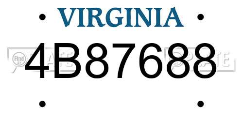 4B87688 Virginia License Plate