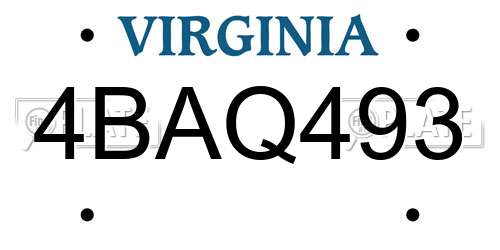 4BAQ493 Virginia License Plate