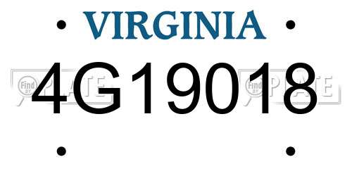 4G19018 Virginia License Plate