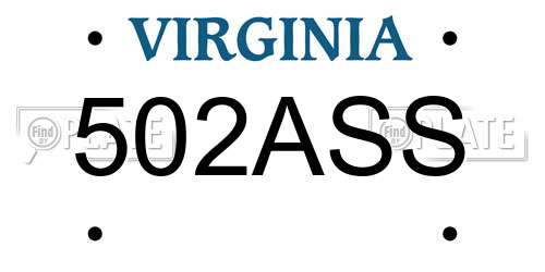502ASS Virginia License Plate