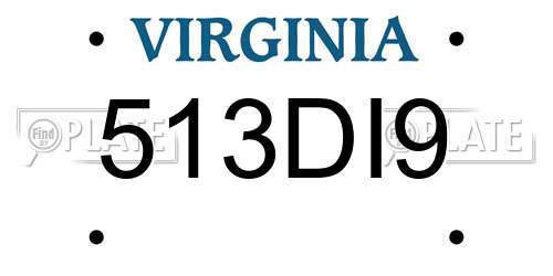 513DI9 Virginia License Plate
