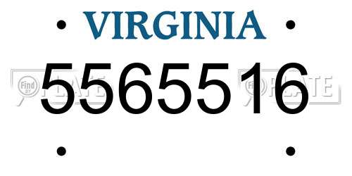 5565516 Virginia License Plate