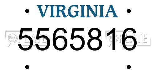 5565816 Virginia License Plate