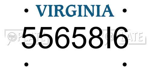 55658I6 Virginia License Plate