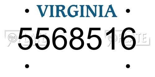 5568516 Virginia License Plate