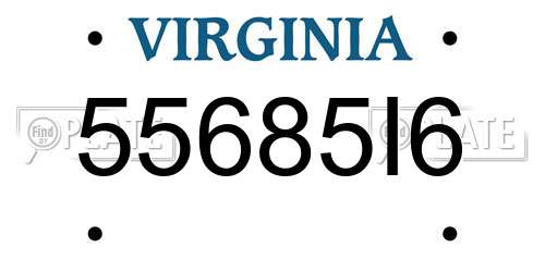 55685I6 Virginia License Plate