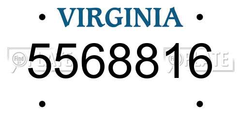 5568816 Virginia License Plate