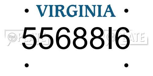 55688I6 Virginia License Plate